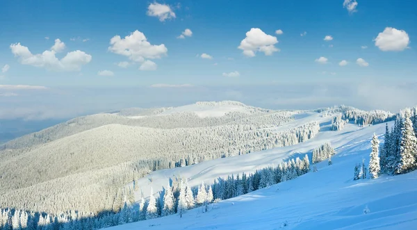 Winter Calm Mountain Landscape Carpathian Mountains Ukraine — Stock Photo, Image
