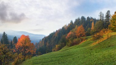 Dağ ormanlarının çevresinde sonbahar sabahı. Jaremche Kasabası, Ivano-Frankivsk Bölgesi, Ukrayna.