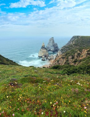 Atlantik Okyanusu yaz sahil granit kaya ve deniz kayalıklarla, kumlu plaj ve çiçeklerle önünde. Cape Roca (Cabo da Roca), Portekiz görüntülemek