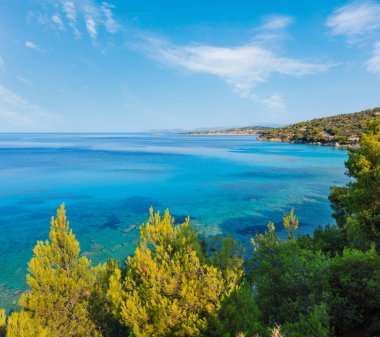 Sabah yaz Ege Denizi Sahili çam ağacı kıyısında (Nikiti, Sithonia, Halkidikya, Yunanistan).
