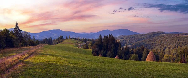 Saman Yığınları Ile Dağlık Yeşil Çayır Slavske Köyü Karpatlar Dağı — Stok fotoğraf