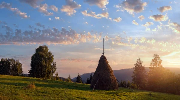Sunset Summer Mountainous Green Meadow Stack Hay Slavske Village Carpathian — Stockfoto