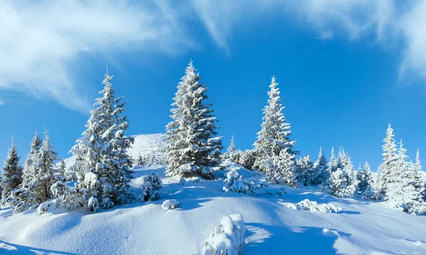 Rano Zima Górski Krajobraz Snowy Jodły Stoku Podkarpacie Ukraina — Zdjęcie stockowe