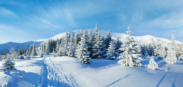 Panorama Montanha Manhã Inverno Com Abetos Encosta — Fotografia de Stock