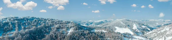 Winter Carpathian Mountains Landscape Fir Forest Lonely House Slopes Skole — Stock Photo, Image