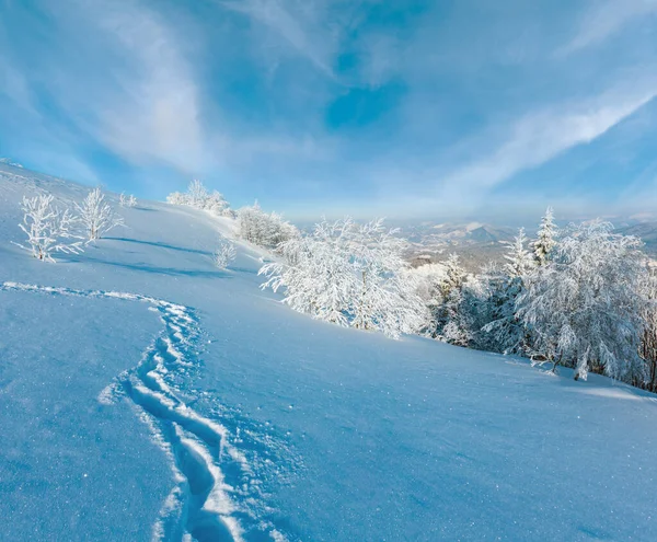 Morning winter calm mountain landscape with beautiful frosting trees and footpath track through snowdrifts on mountain slope (Carpathian Mountains, Ukraine)
