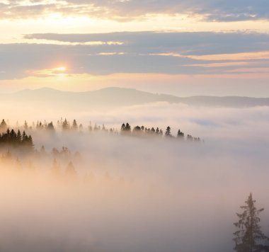 Sabah sis (Ivano-Frankivsk oblast, Ukraine) Karpat Dağları eteklerinde. Chornohora tepede görüntülemek.