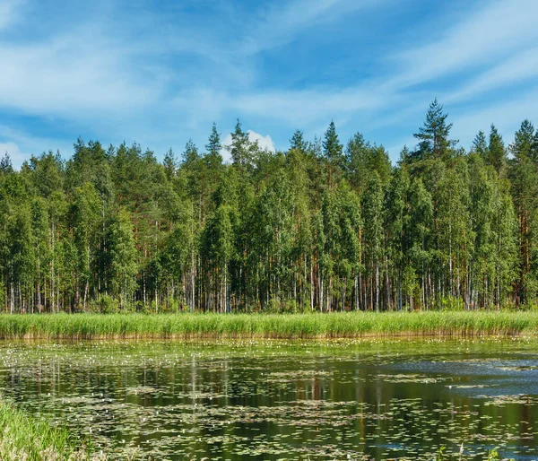 Lake Ruotsalainen Zomer Weergave Met Water Lilys Oppervlak Buurt Van — Stockfoto