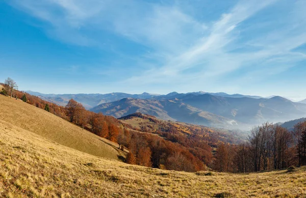 Herfst Karpatische Berglandschap Met Kleurrijke Bomen Helling Lichte Nevel — Stockfoto