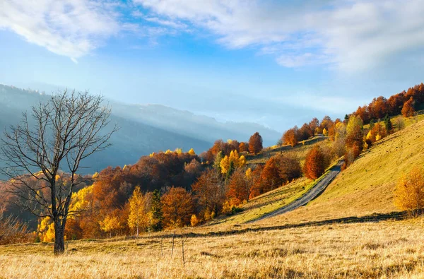 Wiejskiej Drodze Jesień Mglista Górska Kolorowe Drzewa Stoku Sunbeam Nad — Zdjęcie stockowe