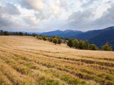 köy yolunda, Karpatlar (Ukrayna) sonbahar yatay.