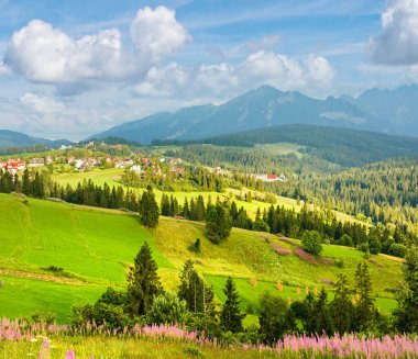 Önünde pembe çiçekler, arkasında Tatra sıradağları olan yaz akşamı dağ köyü (Gliczarow Gorny, Polonya)