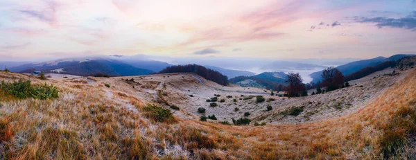 秋雾蒙蒙的高山全景 有乡间小路和牛棚 乌克兰喀尔巴阡山 — 图库照片