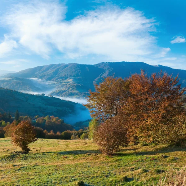 Höstens Dimmiga Morgon Berg Hill Karpaterna Ukraina — Stockfoto