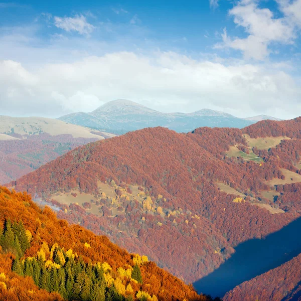 秋雾喀尔巴阡山的斜坡上的彩林 — 图库照片