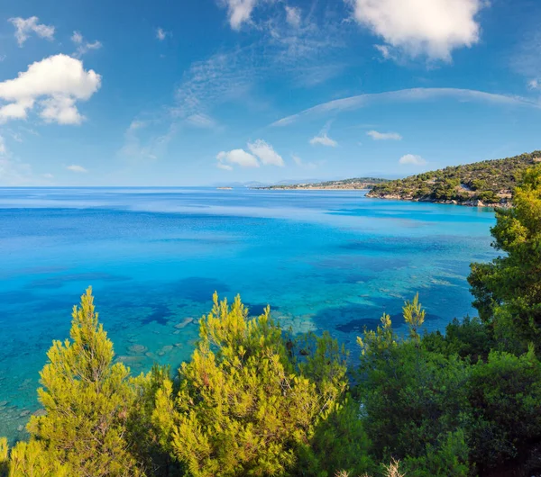 Morning Summer Aegean Sea Coast Pine Tree Shore Nikiti Sithonia — Stock Photo, Image