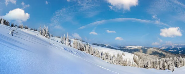 Winter Calm Mountain Landscape Fir Forest Sheds Group Slope Carpathian — Stock Photo, Image