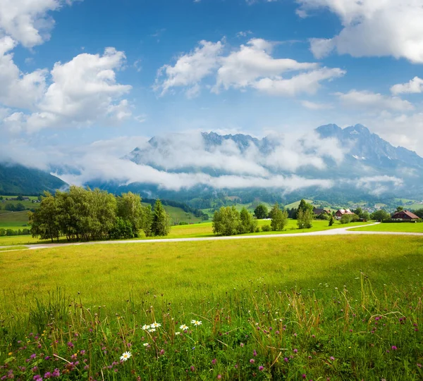 Alpes Montanha Prado Tranquilo Vista Verão — Fotografia de Stock