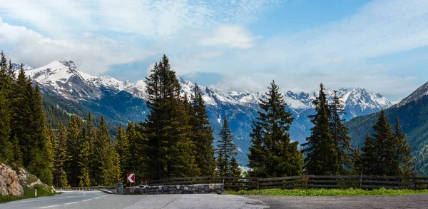 夏天阿尔卑斯山山风景与路 冷杉森林在倾斜和雪覆盖了岩石顶在远 奥地利 — 图库照片