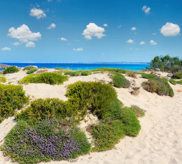 Pintoresca Playa Del Mar Jónico Punta Della Suina Salento Puglia — Foto de Stock