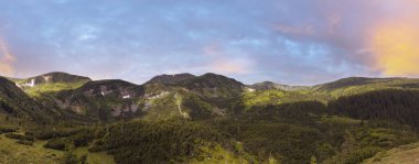 Ardıç ormanı ve karla kaplı dağ manzarası.