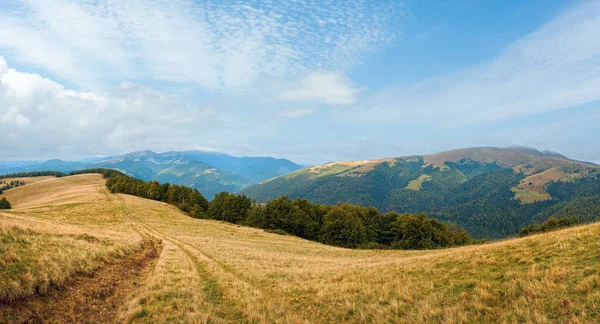 Montañas Cárpatos Ucrania Paisaje Otoñal Con Carretera Campo Panorama —  Fotos de Stock