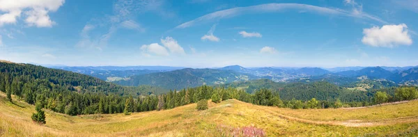 Summer Mountain Country Panorama Ukraine Carpathian Mountains — Stock Photo, Image
