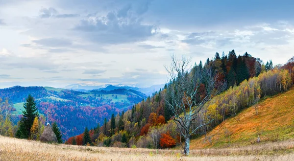 秋天的雾蒙蒙的清晨 全景尽收眼底 眼前长满了干草堆 光秃秃的树 乌克兰喀尔巴阡山 — 图库照片