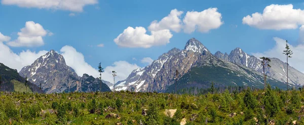 Hohe Tatra Frühlingspanorama Mit Schnee Berghang Slowakei — Stockfoto