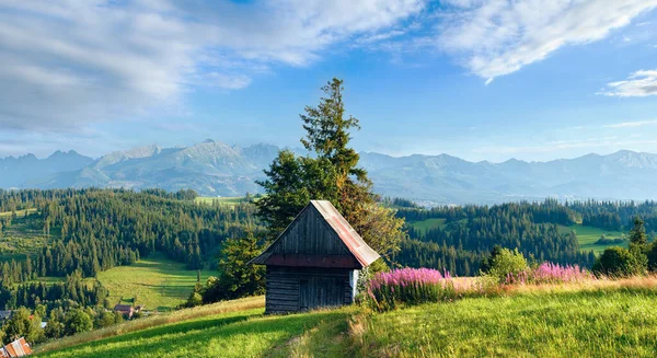 夏天晚上山村庄郊外与粉红色的花朵和木棚在前面和后面 戈尔诺 Gliczarow Tatra — 图库照片