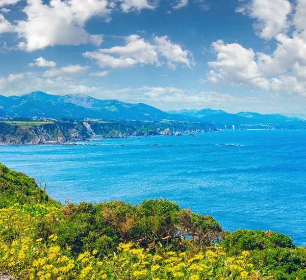 Summer Cape Vidio Coastline Landscape Κίτρινα Λουλούδια Μπροστά Asturias Cudillero — Φωτογραφία Αρχείου