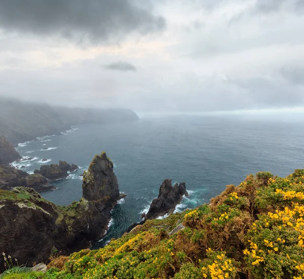 Atlantic Coastline View Blossoming Cape Ortegal Province Coruna Galicia Spain — Stock Photo, Image