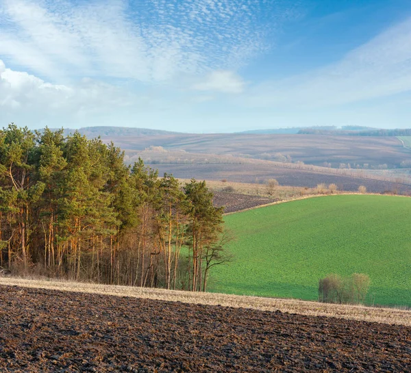 Lente Ochtend Landelijk Landschap Met Geploegde Landbouwvelden Heuvels Bomen Bossen — Stockfoto