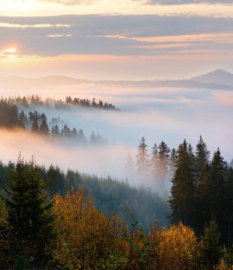 The air. Morning sunrise fog colorful clouds on the slopes of the Carpathian Mountains (Ukraine).