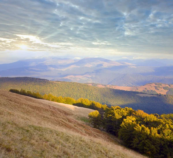 Karpaten Oekraïne Herfst Landschap Met Bewolkte Schemering Hemel — Stockfoto