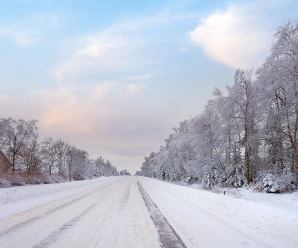 Nudné Zimní Krajina Ledem Pokryté Silnici Stromy Straně Silnice — Stock fotografie