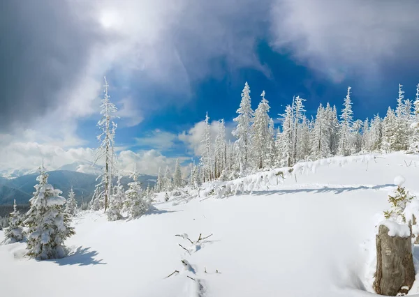 冬天平静山风景 喀尔巴阡山脉 乌克兰 — 图库照片
