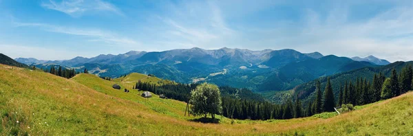 Panorama Montanha Verão Cárpatos Ucrânia Com Prados Floridos Frente — Fotografia de Stock