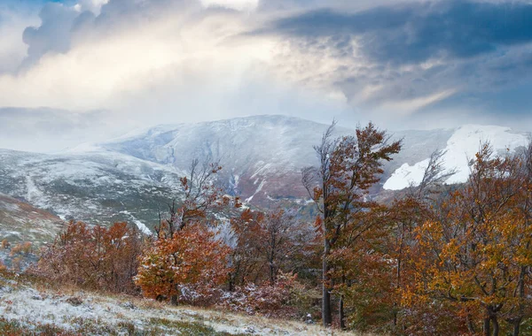 stock image October Carpathian mountain Borghava plateau with first winter snow and autumn foliage.