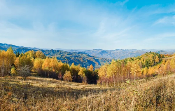 Outono Ensolarado Floresta Montanha Montanha — Fotografia de Stock