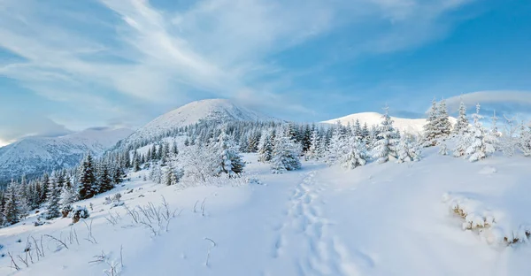 Ochtend Winter Berg Landschap Met Fir Bos Helling — Stockfoto