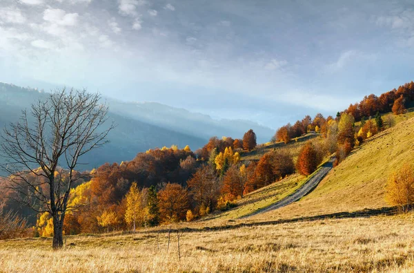 Landelijke Weg Herfst Mistige Berg Kleurrijke Bomen Helling Sunbeam Overheen — Stockfoto