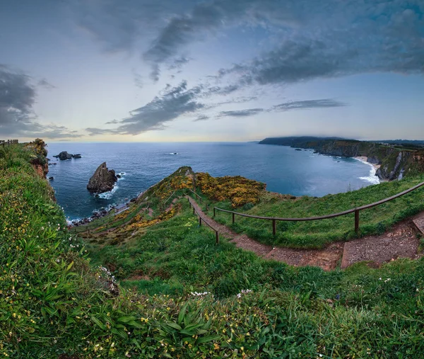 Evening Costa Loiba Landscape Flowers Footpath Beach Asturias Spain — Stockfoto
