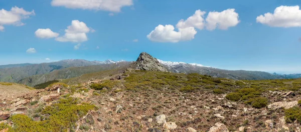 Paisagem Montanhosa Verão Com Neve Cume Parque Nacional Serra Nevada — Fotografia de Stock
