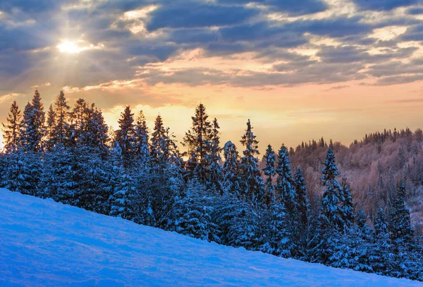 Cielo Serale Con Nuvole Gialle Sull Inverno Montagne Carpazie Ucraine — Foto Stock