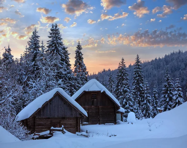 Wooden Sheds Fir Forest Winter Slope Evening Ukrainian Carpathian Mountains — Stock Photo, Image