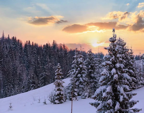 Avondlucht Met Roze Wolk Winter Oekraïense Karpaten — Stockfoto