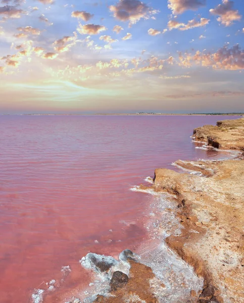 Roze Zeer Zoute Syvash Lake Gekleurd Door Microalgen Met Kristallijn — Stockfoto