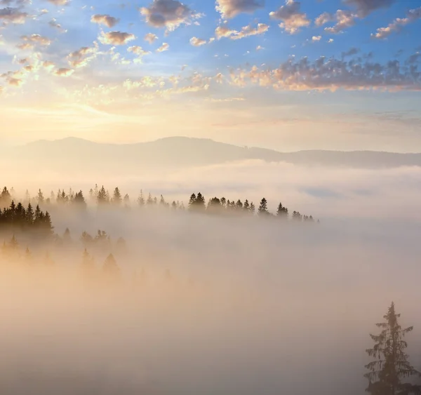 Ομίχλη Πρωί Στις Πλαγιές Της Οροσειράς Των Καρπαθίων Ivano Frankivsk — Φωτογραφία Αρχείου
