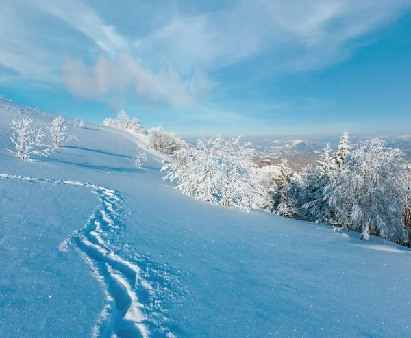 早晨的冬天平静的山风景与美丽的结霜树和小径轨道通过雪堆在山倾斜 乌克兰 — 图库照片